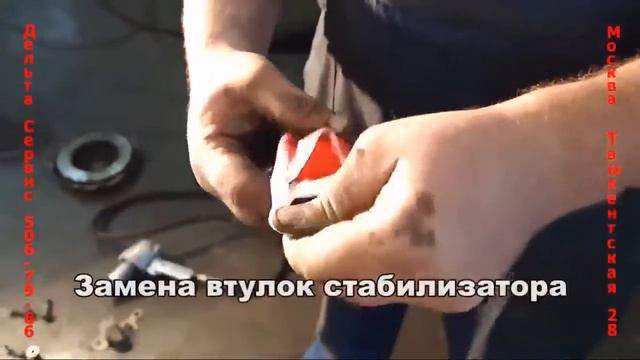 Маздофилия