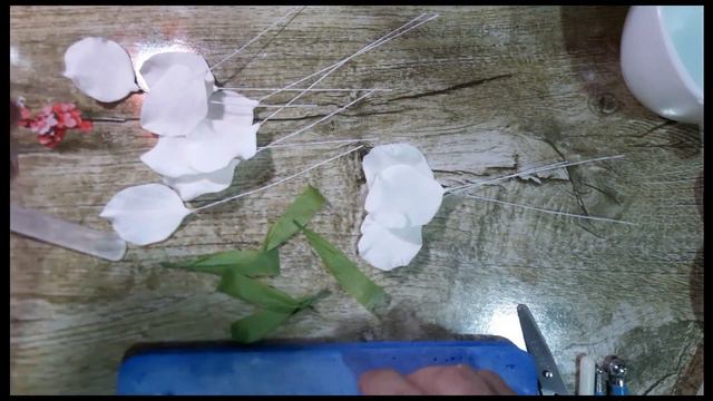 3693ac1999b2ba42669da3a2df9b01e0