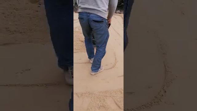 виброплита 55кг идеальное решение для трамбовки песочка