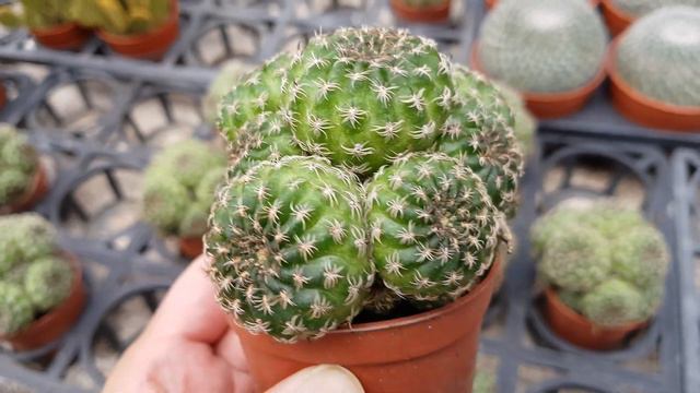 949148a2c76236fd787717aac9f7b4ce