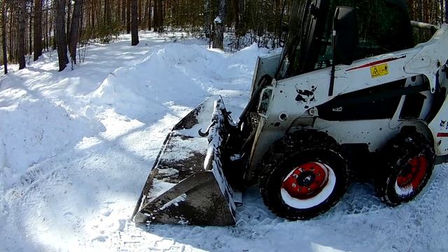 16 ноября 2020 г.