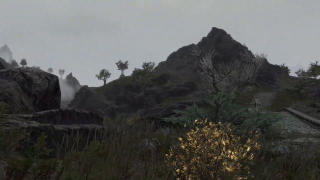 Skyrim (mods) - Spotlight On: Reach Tree Replacer