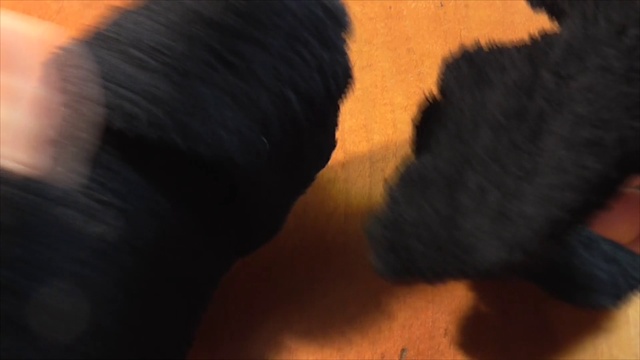 Перчатки и Варежки два в одном AliExpress !!!