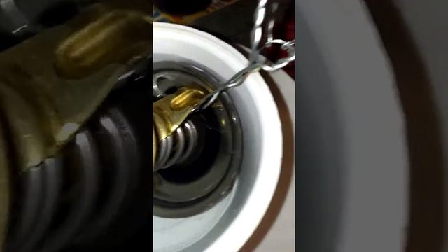 Термостат вахлер  Wahler