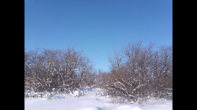 M25&First Function-Snow