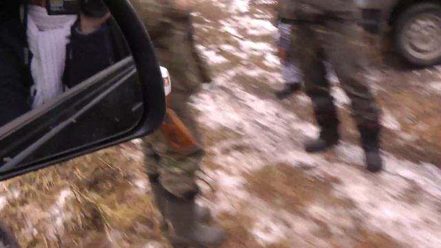 Убитый кабан у охотников