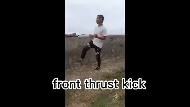 6 Basic Kicks Shotokan Karate