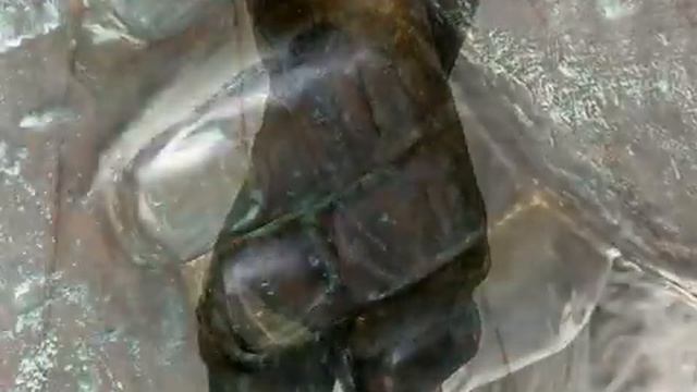 АРИЯ