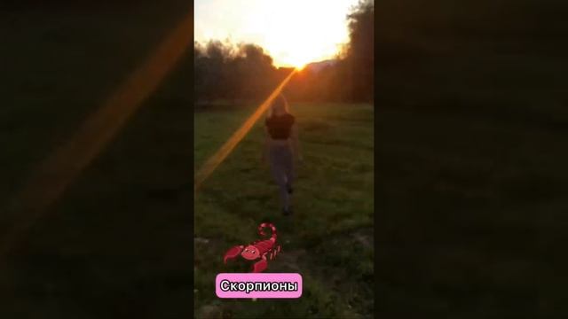 Fc433c34f96f86bc63cf5ca0d532a4e6