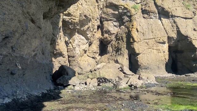 Бухта тихая после шторма Сахалин