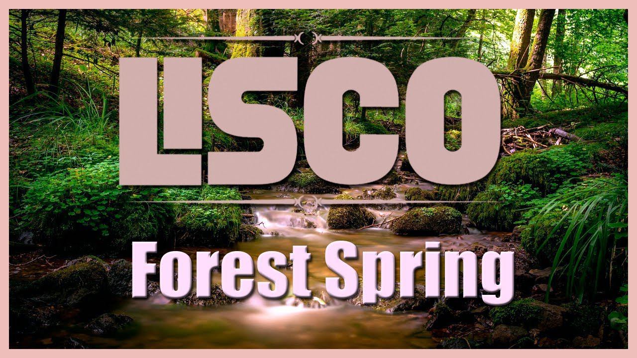 Lisco - Forest Spring