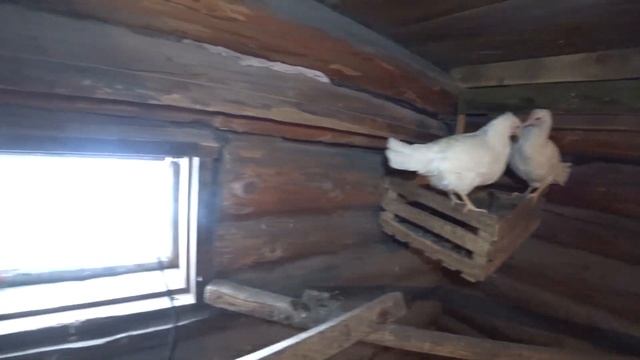 0a5361b5579c59667d3ee45c65e79773