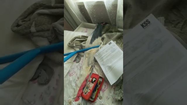 Купил себе новый руль Спутник.