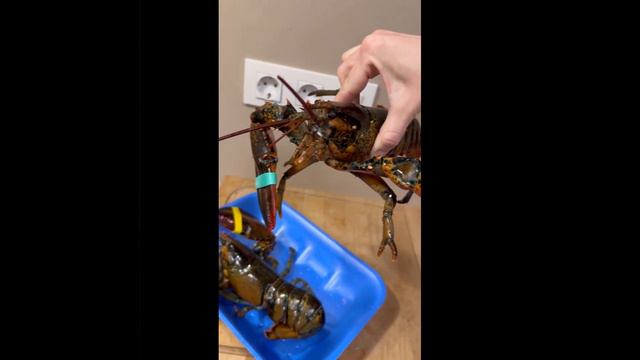 lobster omar лобстер омар краб рецепт