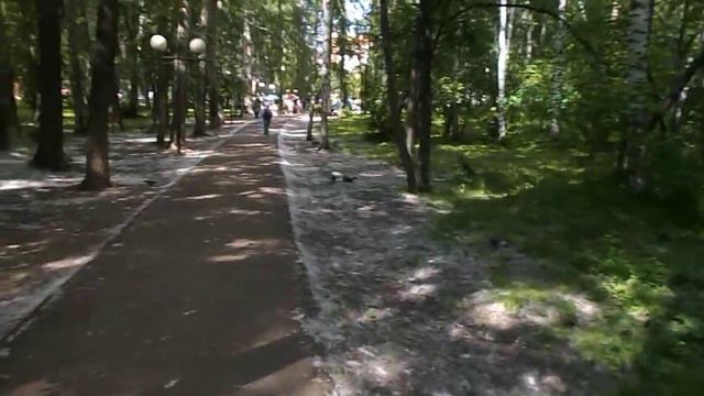 многолетние    цветы