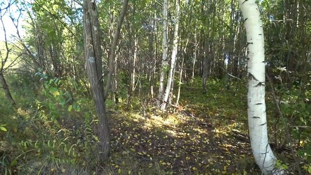 27d8ed520d5a7aa521d47ed2423acde3