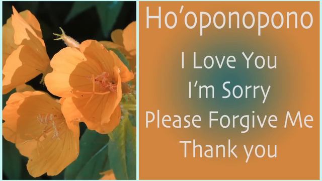 Mood Elevation W/ Ho'oponopono ~ Alpha Binaural Beats