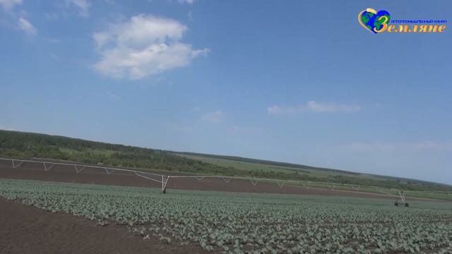 ЗЕМЛЯНЕ – Небо на ладони