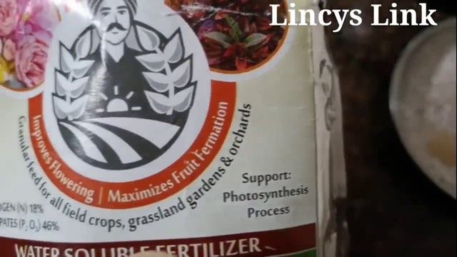 Powerful Fertilizer For All Flowering Plants L Magical Fertilizer For Increasing Flowers And Fruits