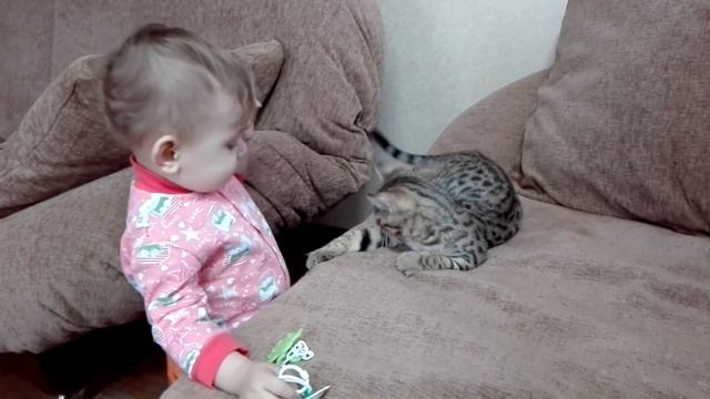 Маргоша с котёнком / ребёнок и бенгал / Bengal Baby