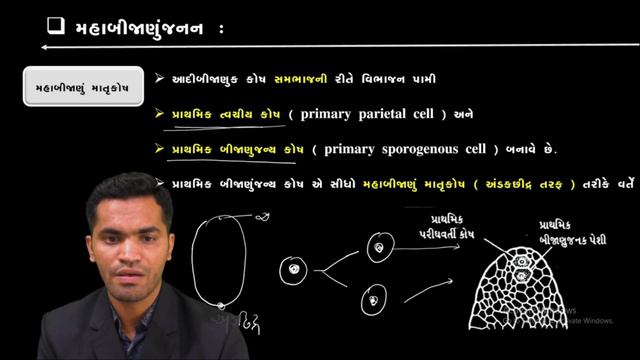 D2ec2d46aeb04e348a3ac2713fd3aff0