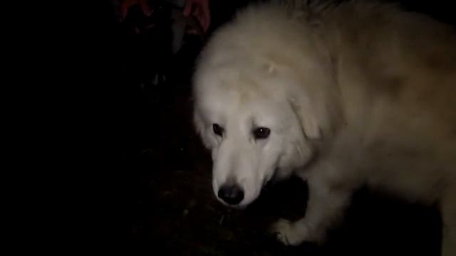 266dfebd32204fbf9e4043b4cf5c2189