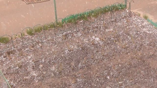 Снегопад в Клинцах 17 апреля.