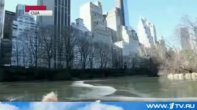 америка мерзнет
