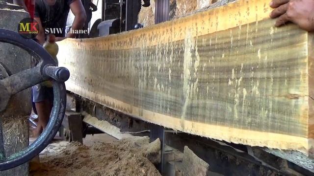 Wujud Monster Kayu Super Mewah.! Mesin Bandsaw Menjerit Seakan Takut Melihat Kerasnya Bikin Histeri