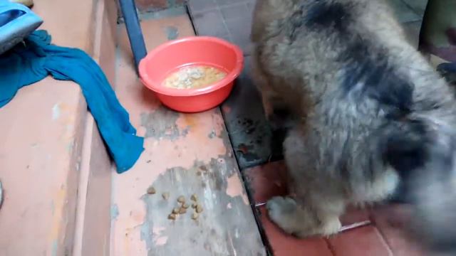 Be8c9f7af48d7ad18ad72def9793af68