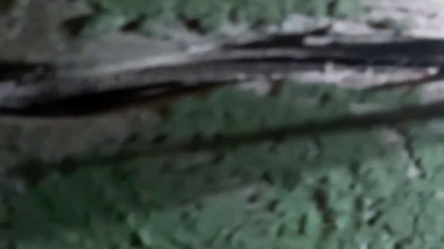 Салют Победы.Спасение ёжика.новые красовки.