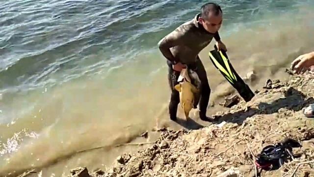 Фрагменты Эмоций