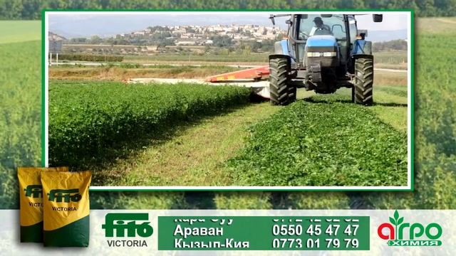 Виктория беде уругу