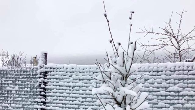 #музыка Сергей Чекалин - «Падал снег»…  #nowar