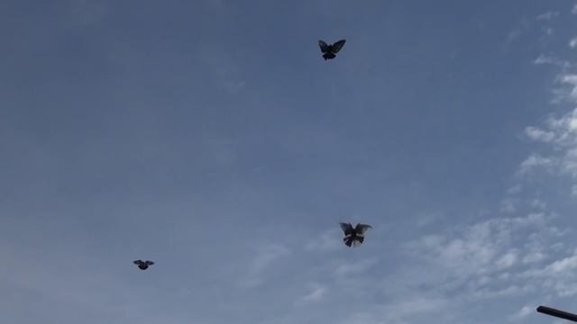 Строительные Технологии