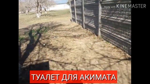АКИМАТ НЕТ ТУАЛЕТА В ЗДАНИИ! КТО так проектировали строил и принимал Акимат Заря Павлодарская обл