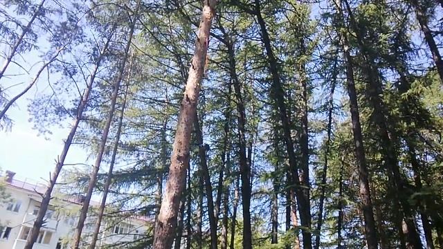 Проверка КВ антенны для полевого дня. IV, 10-метровый участок