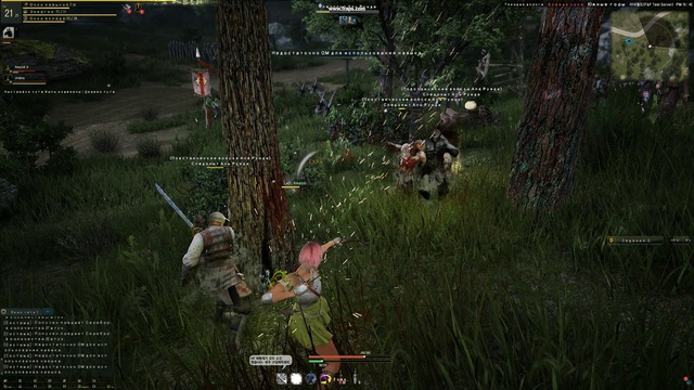 F&F Test RU сервера Black Desert Online