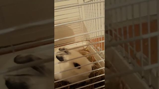 14 марта 2019 г.