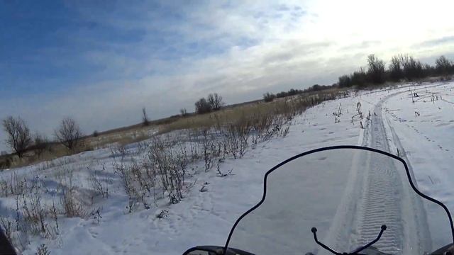 По следам диких жвотных на снегоходе