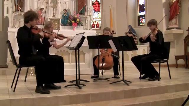 Stringwood 2011 - Shostakovich String Quartet No.10 Mvt 2 - HIFI.avi
