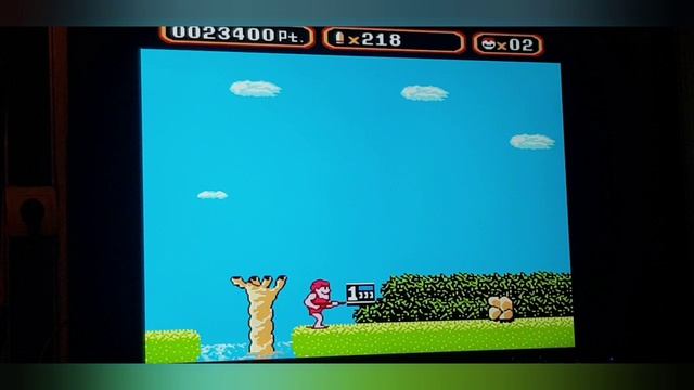 Игра для Nintendo NES Amagon