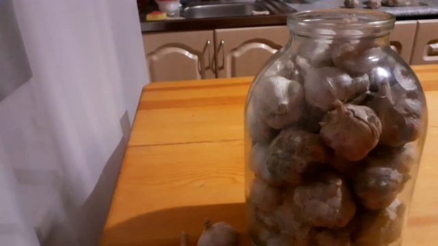 Новинка💥💥💥 Чеснок хранится до нового урожая💯💯💯