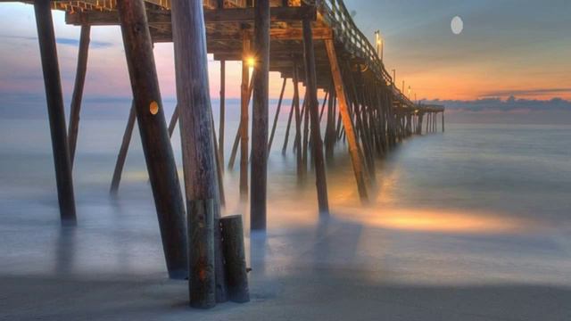 тибетский мастиф сколько