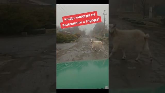 когда первый раз в жизни выехал из города