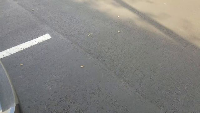 3D Maxpider Kagu Floor Mats. 2016 Mazda 3