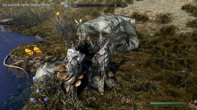 Skyrim Survival Mode - Part 10 ( COMPANIONS ARE OVERRATED )