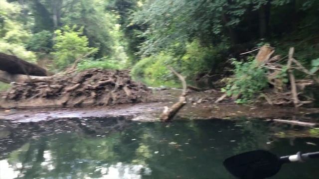 Риболов с каяк на река Велека