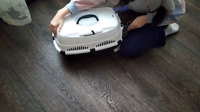 Переноска для животных Спутник