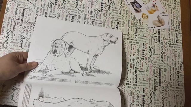 ОБЗОР: Favorite Dogs от John Green